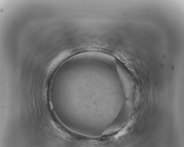 X0000088600197200706011211