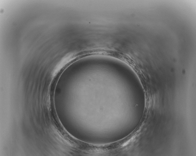 X0000088600198200706011211