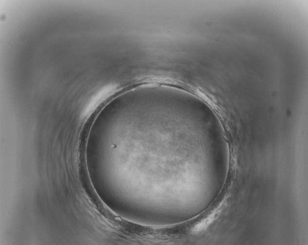 X0000088600199200706011211