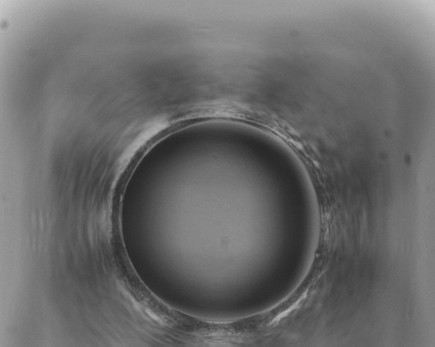 X0000088600200200706011211