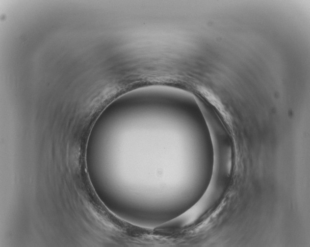 X0000088600201200706011211