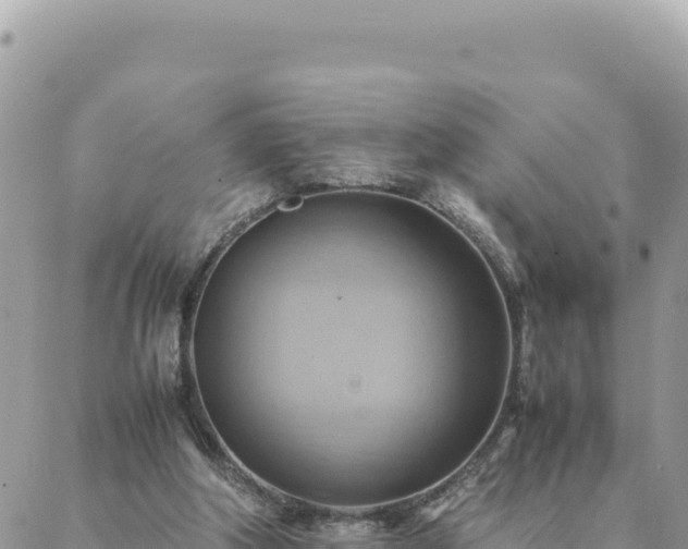 X0000088600202200706011211