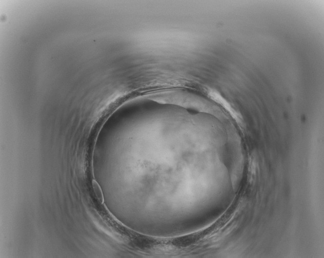 X0000088600203200706011211