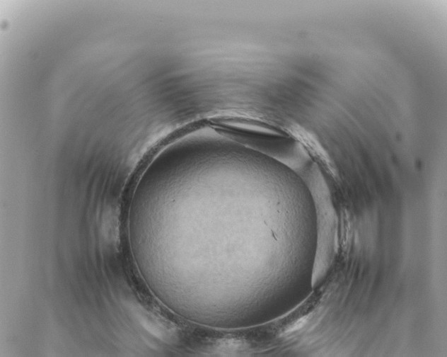 X0000088600204200706011211