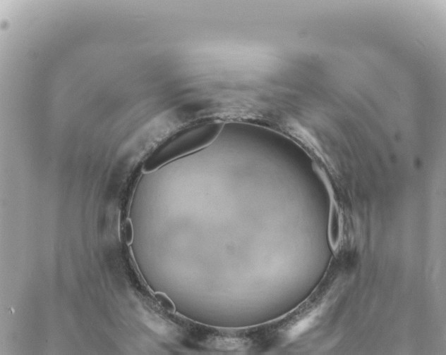 X0000088600205200706011211