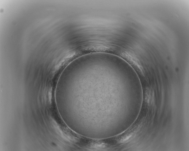 X0000088600206200706011211