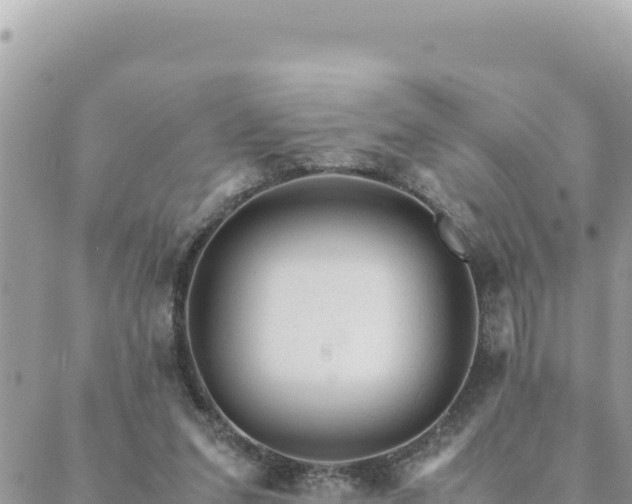 X0000088600207200706011211