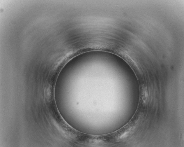 X0000088600208200706011211