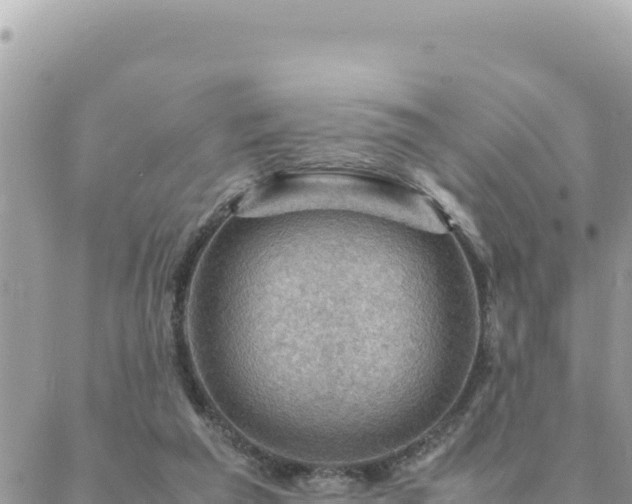 X0000088600209200706011211