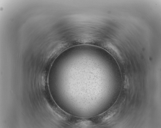 X0000088600210200706011211