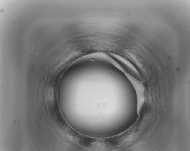 X0000088600211200706011211