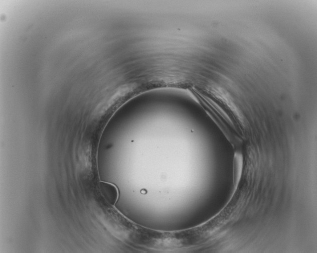 X0000088600212200706011211