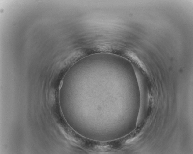 X0000088600213200706011211