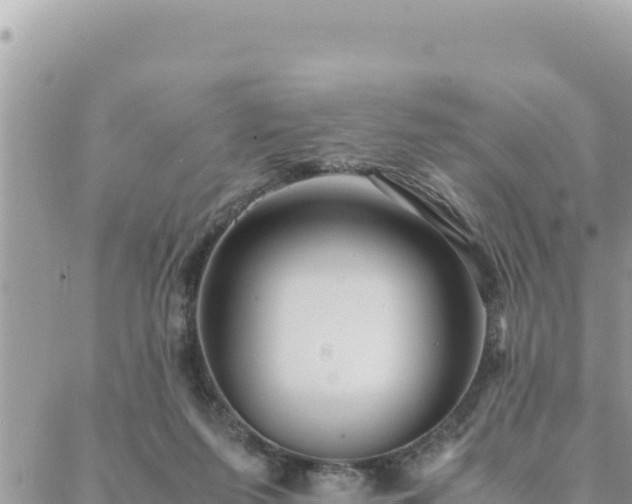 X0000088600215200706011211