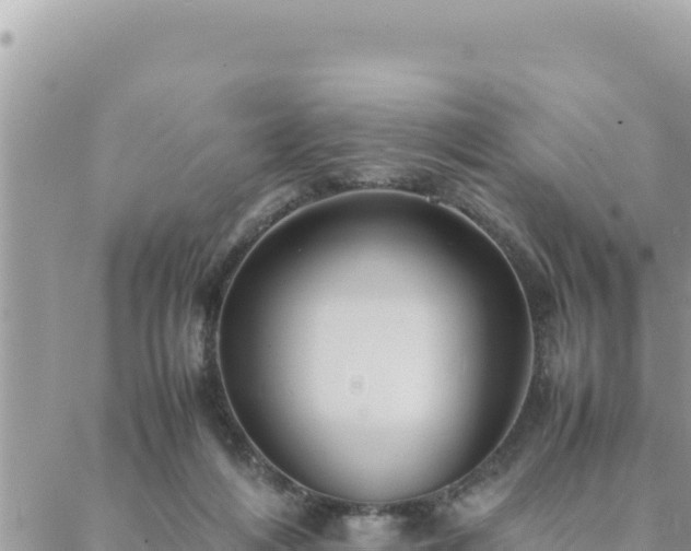 X0000088600216200706011211