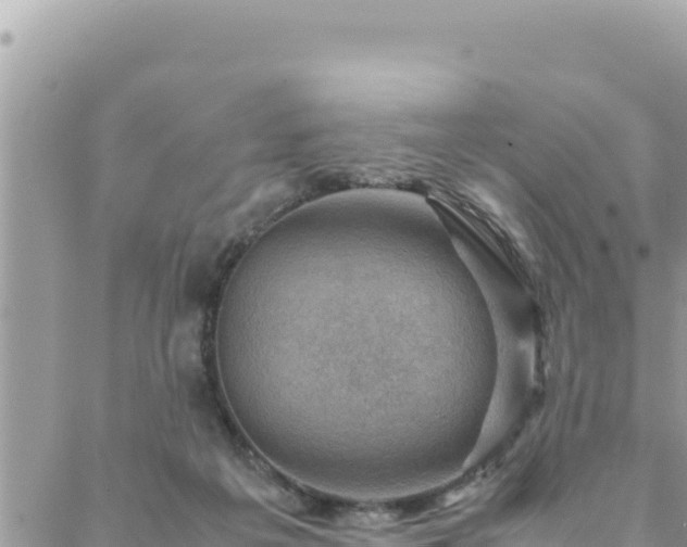 X0000088600217200706011211