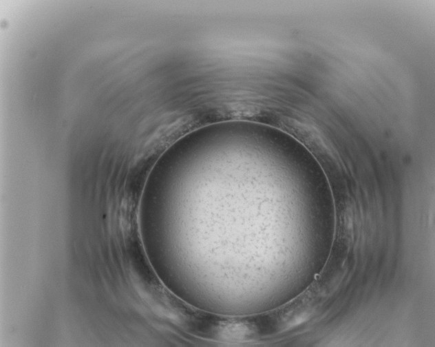 X0000088600218200706011211