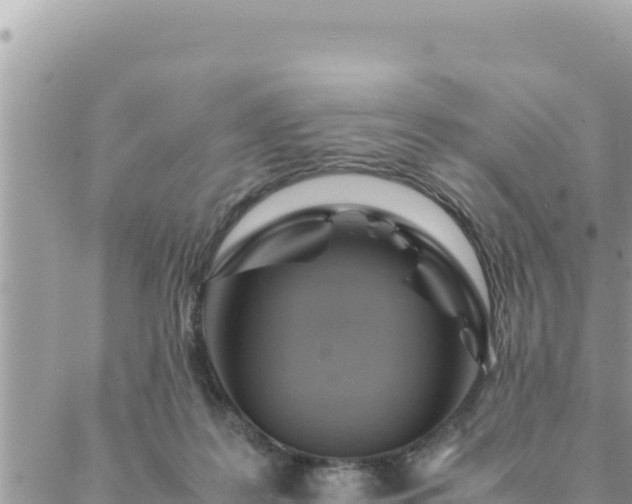 X0000088600219200706011211