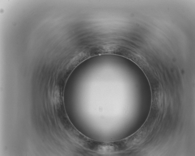 X0000088600220200706011211