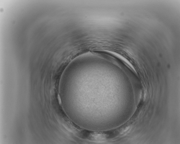 X0000088600221200706011211