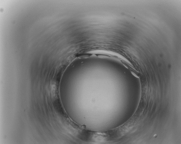 X0000088600222200706011210