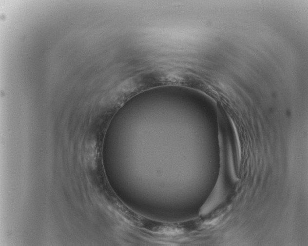 X0000088600223200706011210