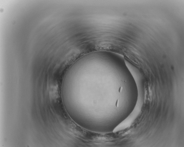 X0000088600224200706011210