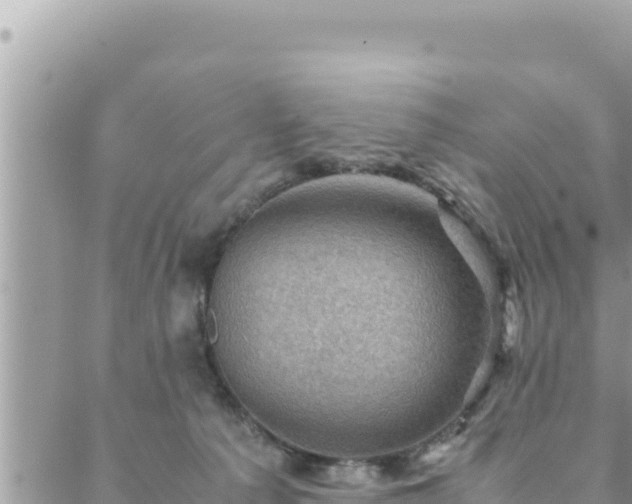 X0000088600225200706011210