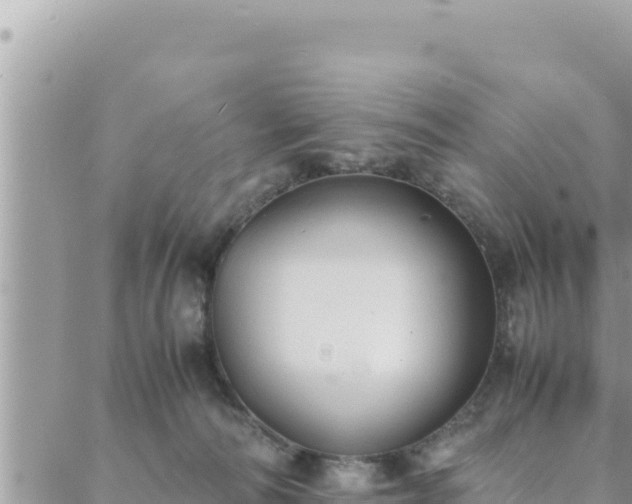 X0000088600226200706011210