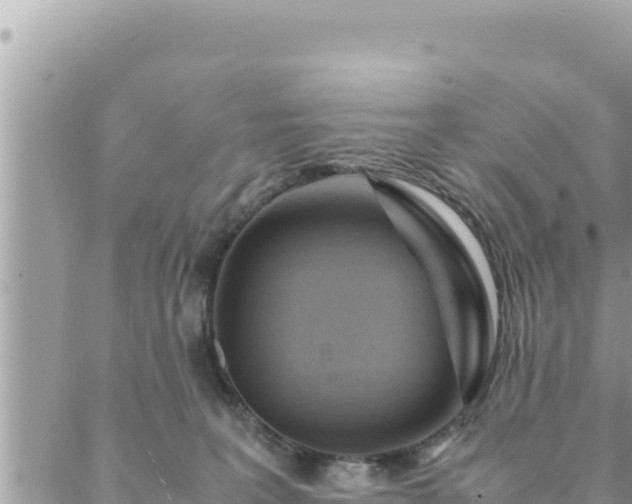 X0000088600227200706011210