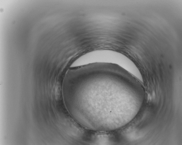 X0000088600228200706011210