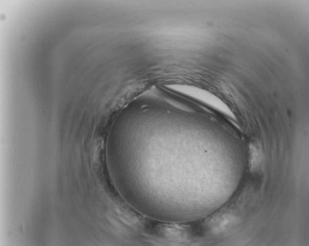 X0000088600229200706011210