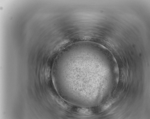 X0000088600230200706011210