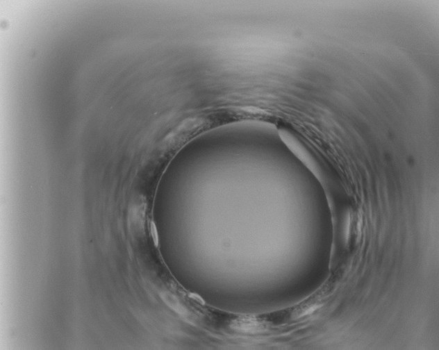 X0000088600231200706011210