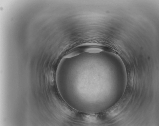 X0000088600232200706011210