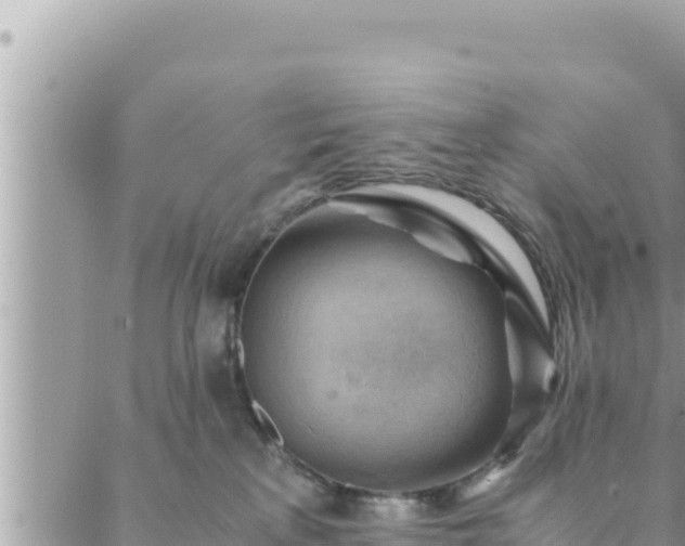 X0000088600233200706011210