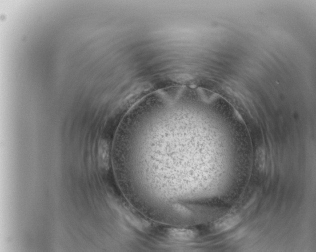 X0000088600234200706011210