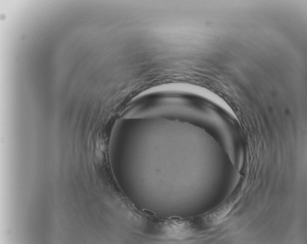 X0000088600235200706011210