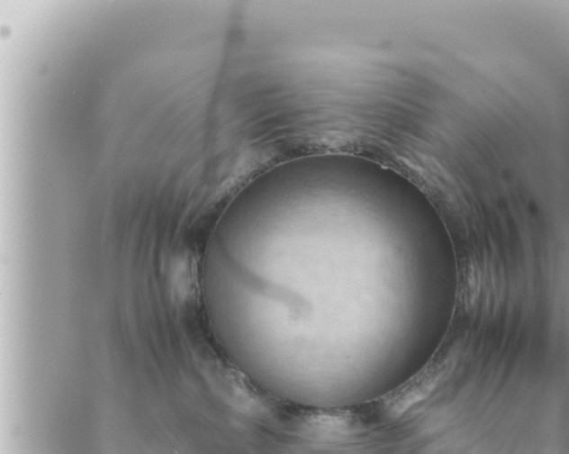 X0000088600236200706011210