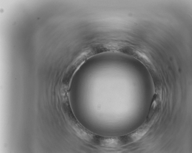 X0000088600237200706011210