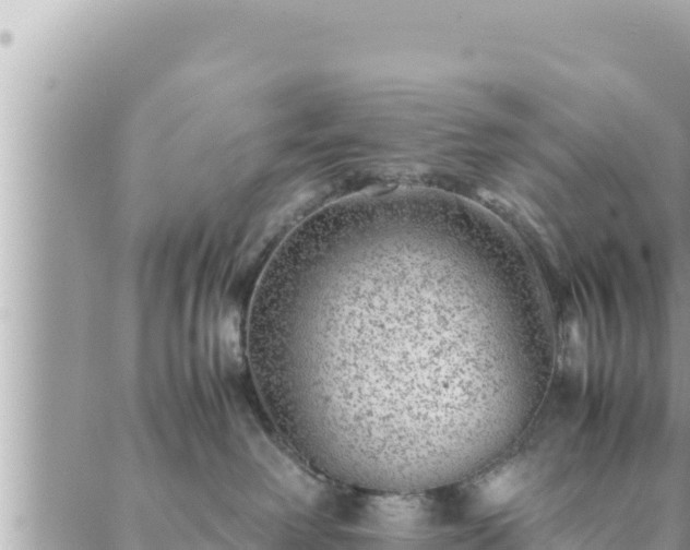 X0000088600238200706011210