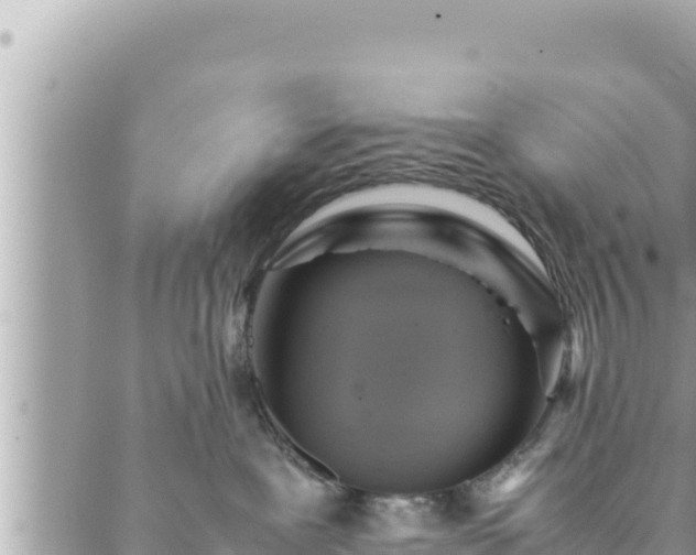 X0000088600239200706011210