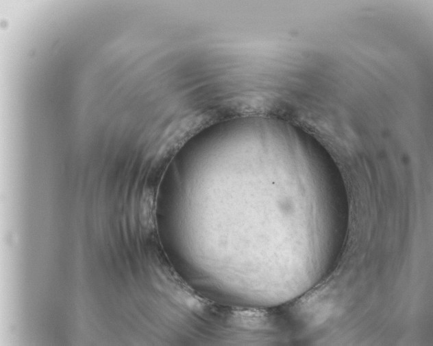 X0000088600240200706011210