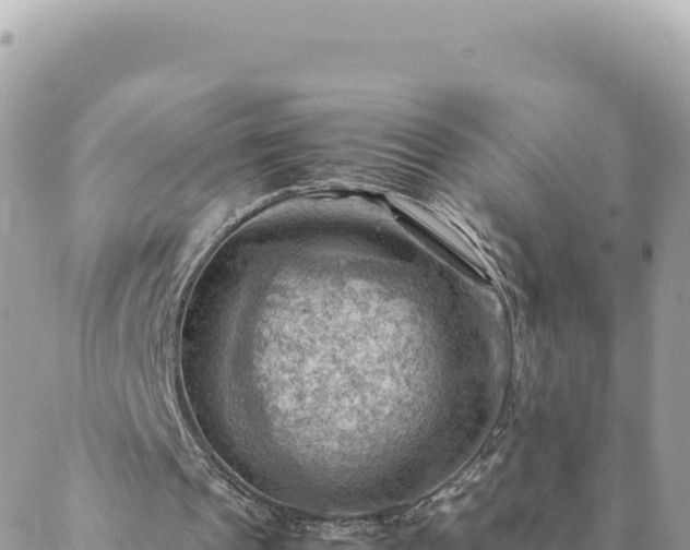 X0000088600241200706011209