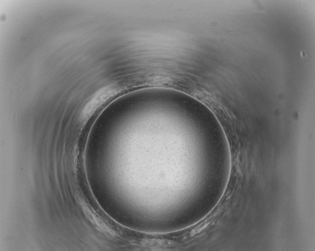 X0000088600242200706011209