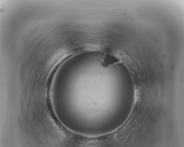 X0000088600243200706011209