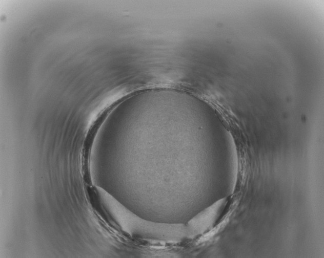 X0000088600244200706011209