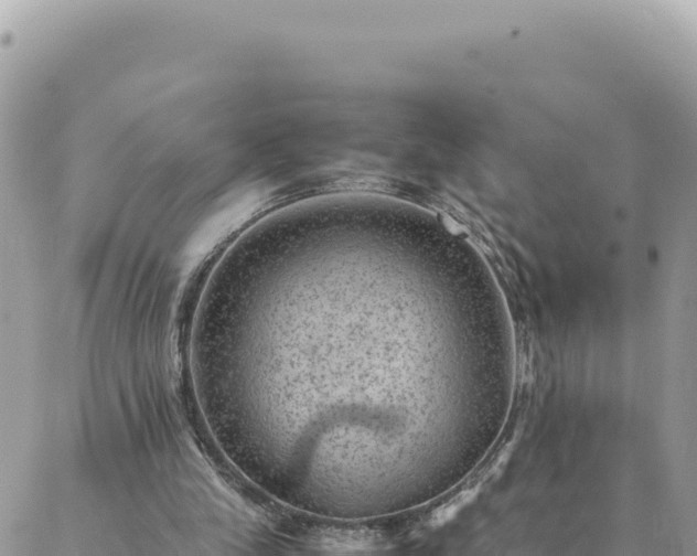 X0000088600245200706011209