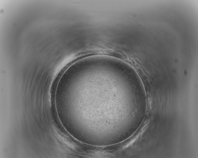 X0000088600246200706011209