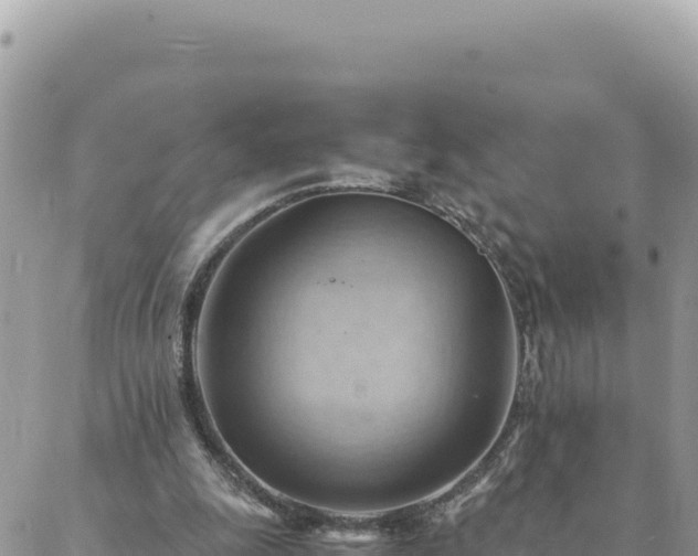 X0000088600247200706011210